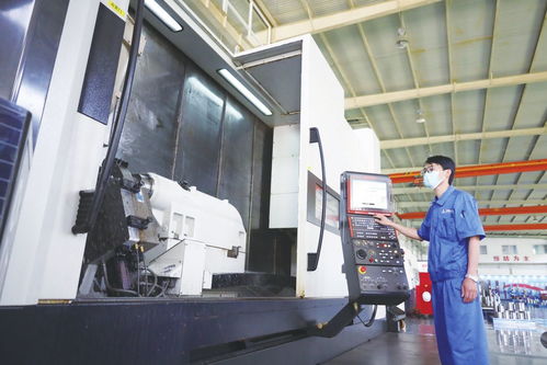 小巨人背后的成長密碼 建設工程的智慧與策略